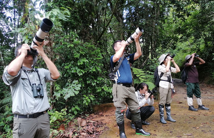Jungle Photography Experience