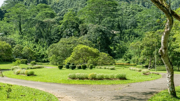 Avissawella Countryside