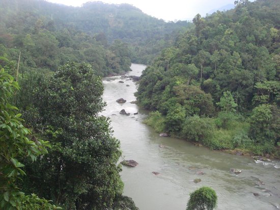 Kelani River Viewpoints