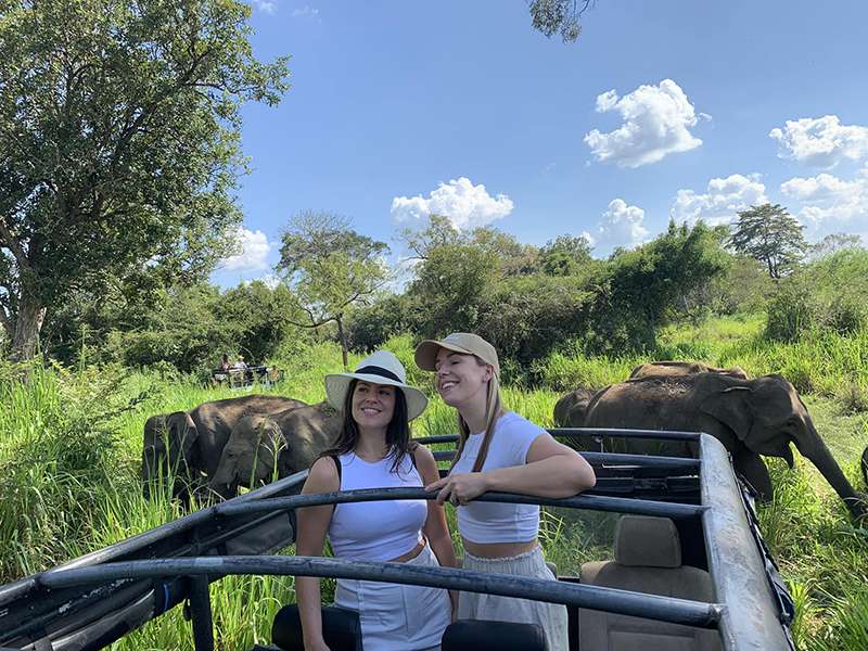 Minneriya safari