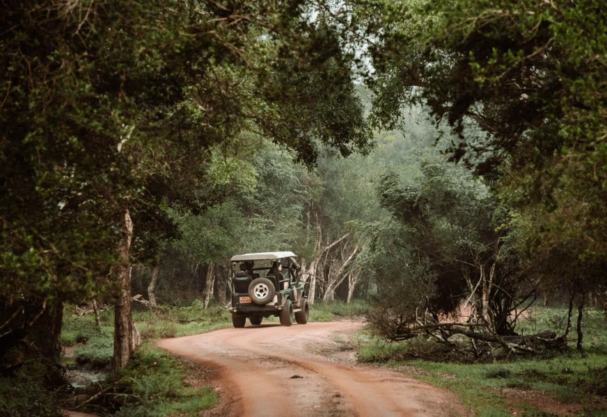 Wilpattu Safari