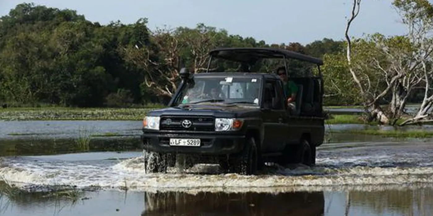 Wilpattu Safari
