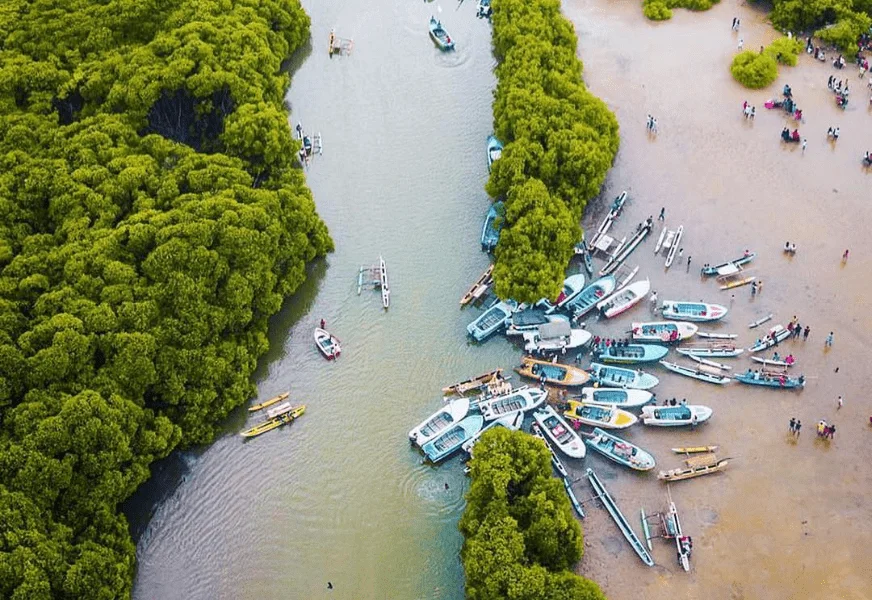 Negombo Lagoon
