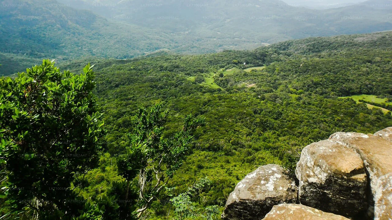 Pitawala Pathana Plateau
