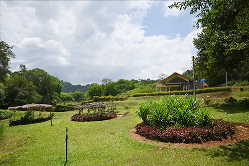 Matale Spice Garden Tour
