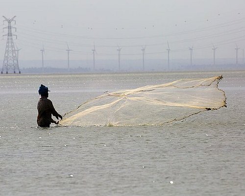 fishing