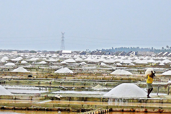 Puttalam Salt Pans