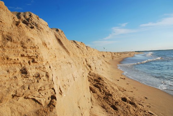 Golden Dune Landscapes