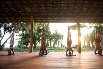 Yoga Sesssion