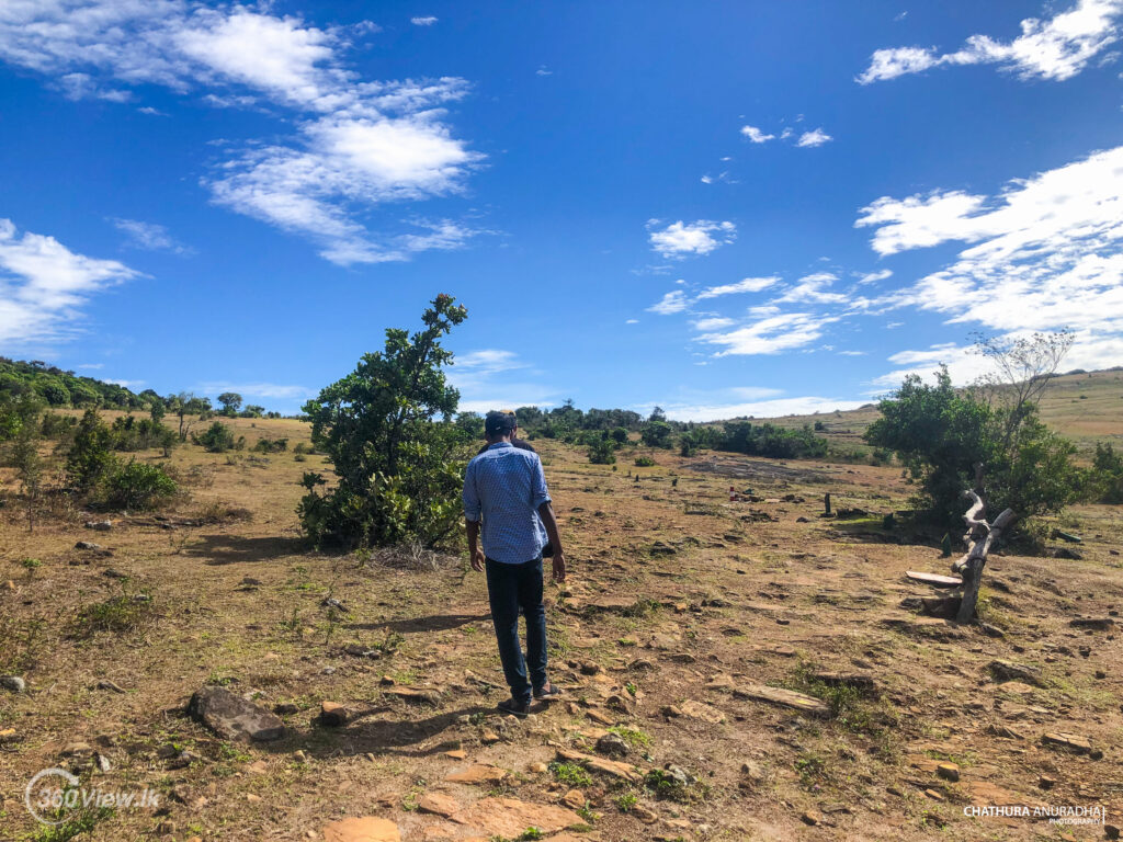Highland Picnic Experience