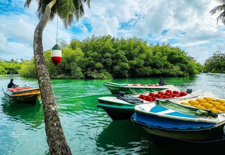 Morning Boat Safari