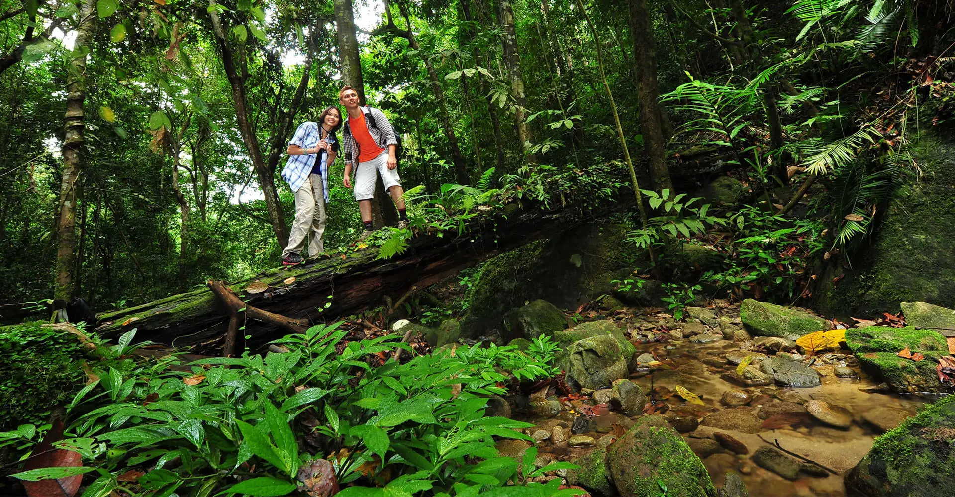 Rainforest Walk in Makandawa