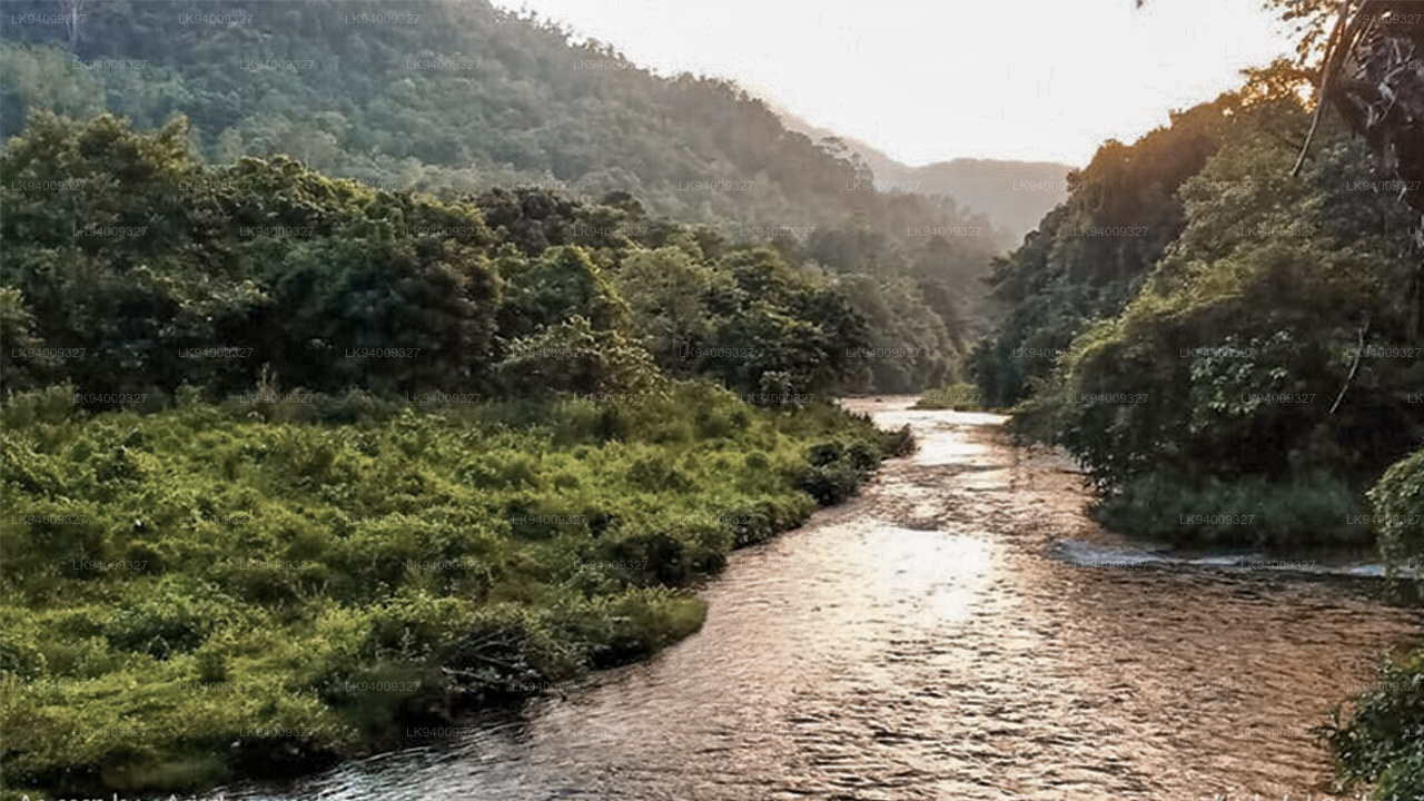 Kelani River