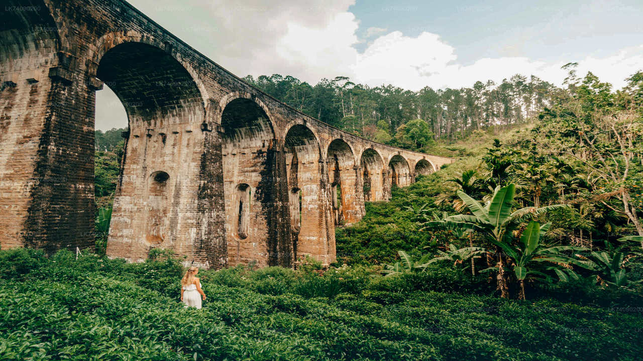 Nine Arch Bridge