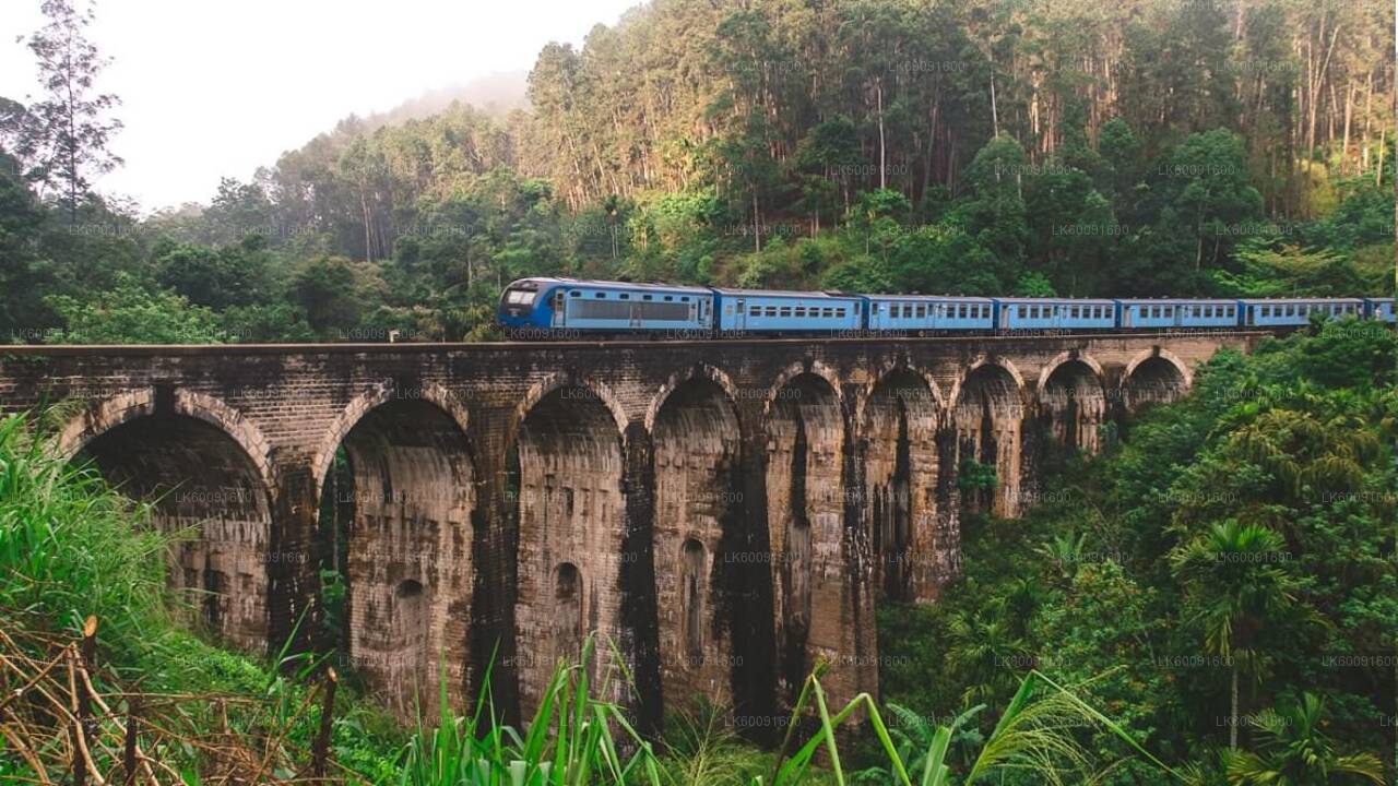 Nine Arch Bridge