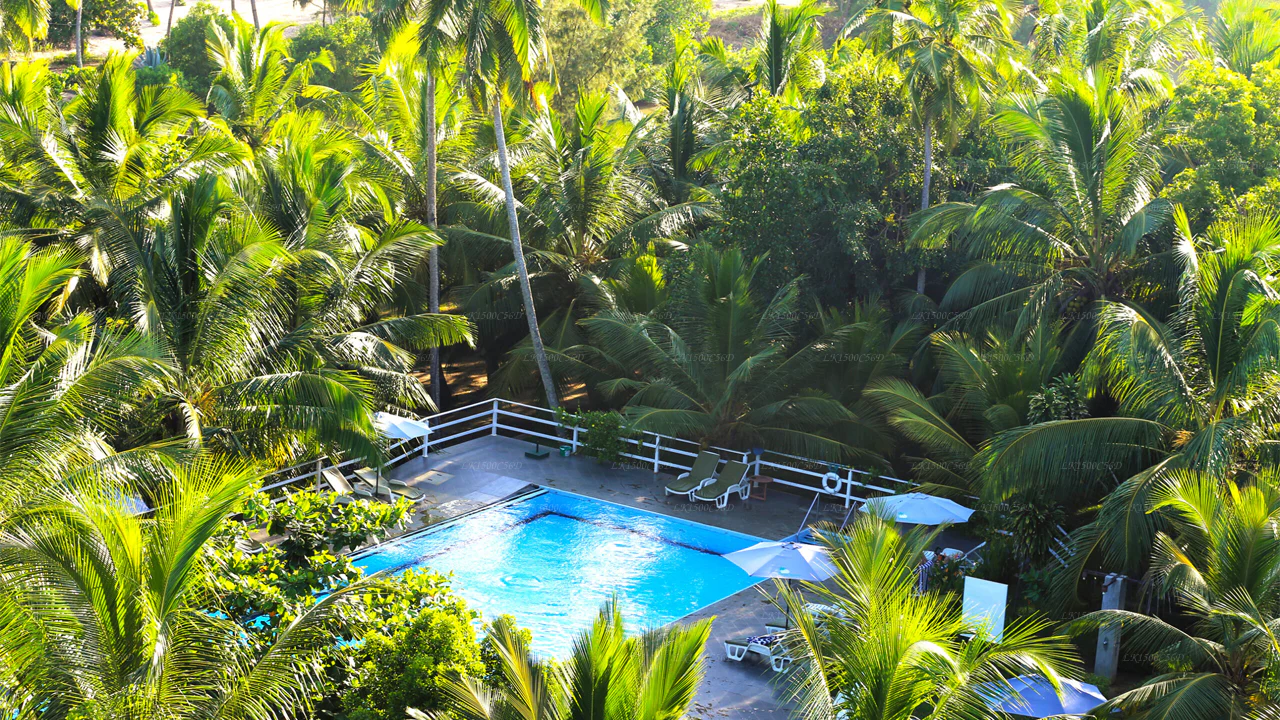 lagoon paradise resort