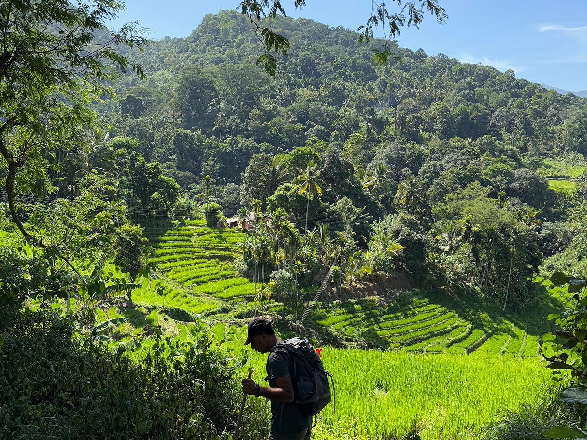 trekking