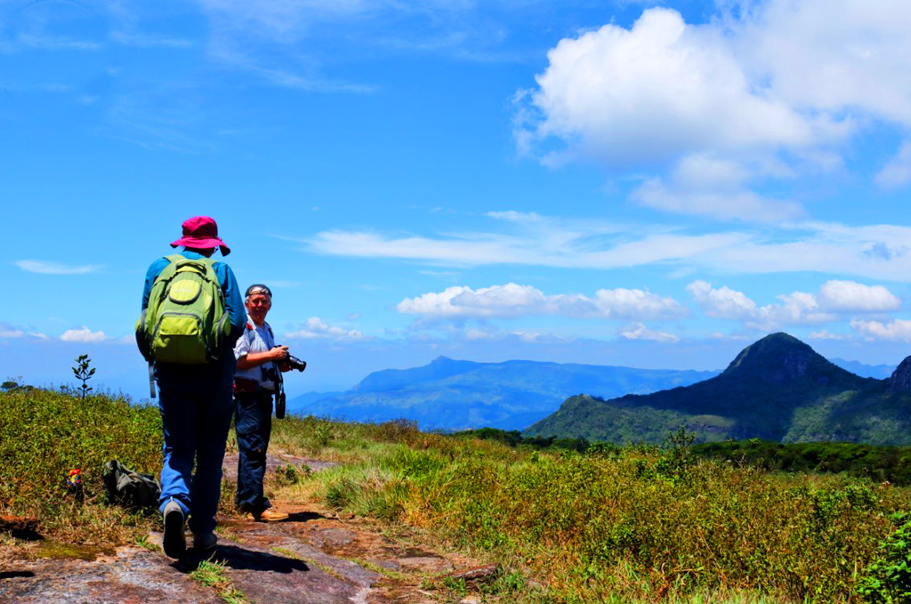 hiking and trekking