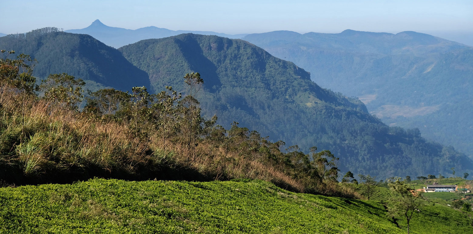 hambantota highland