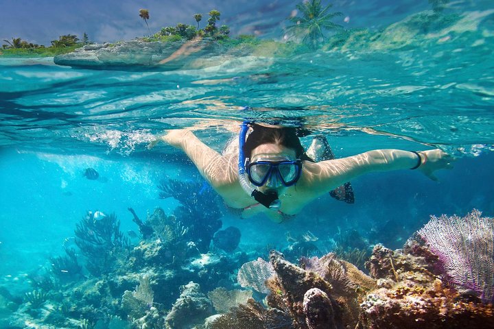 snorkeling
