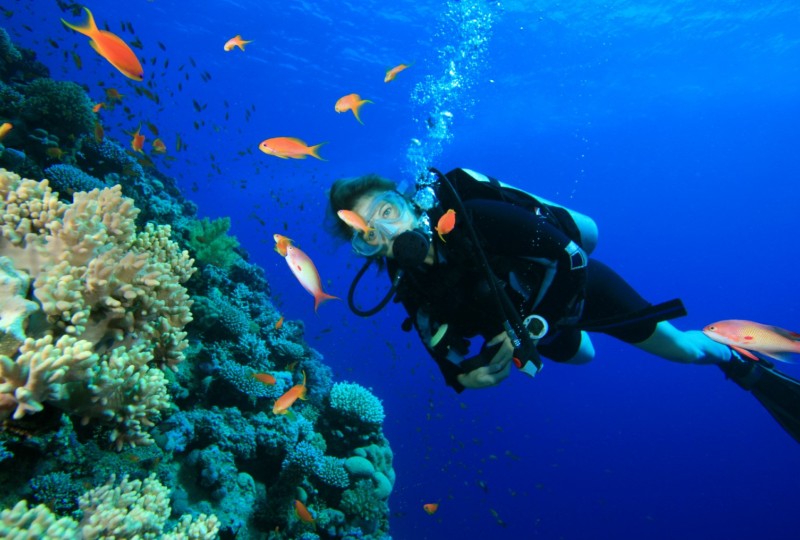 snorkeling
