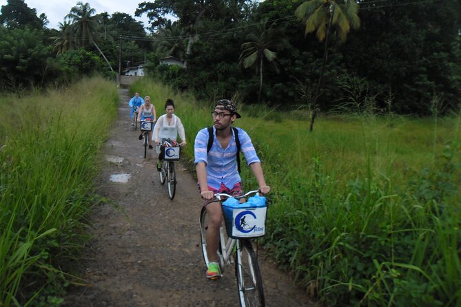 Cycling Tours