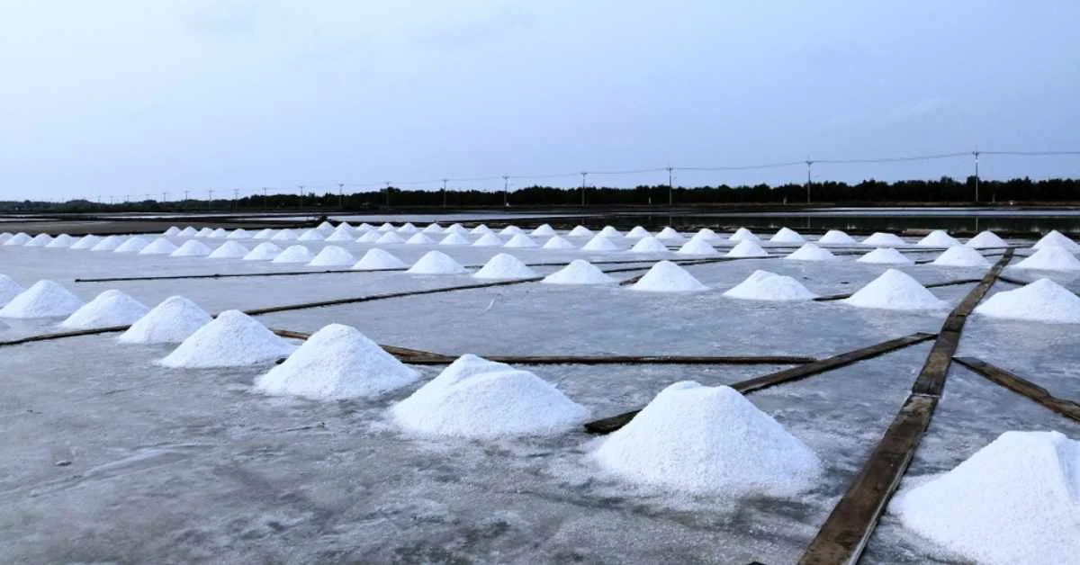 salt pan