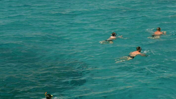 swimming
