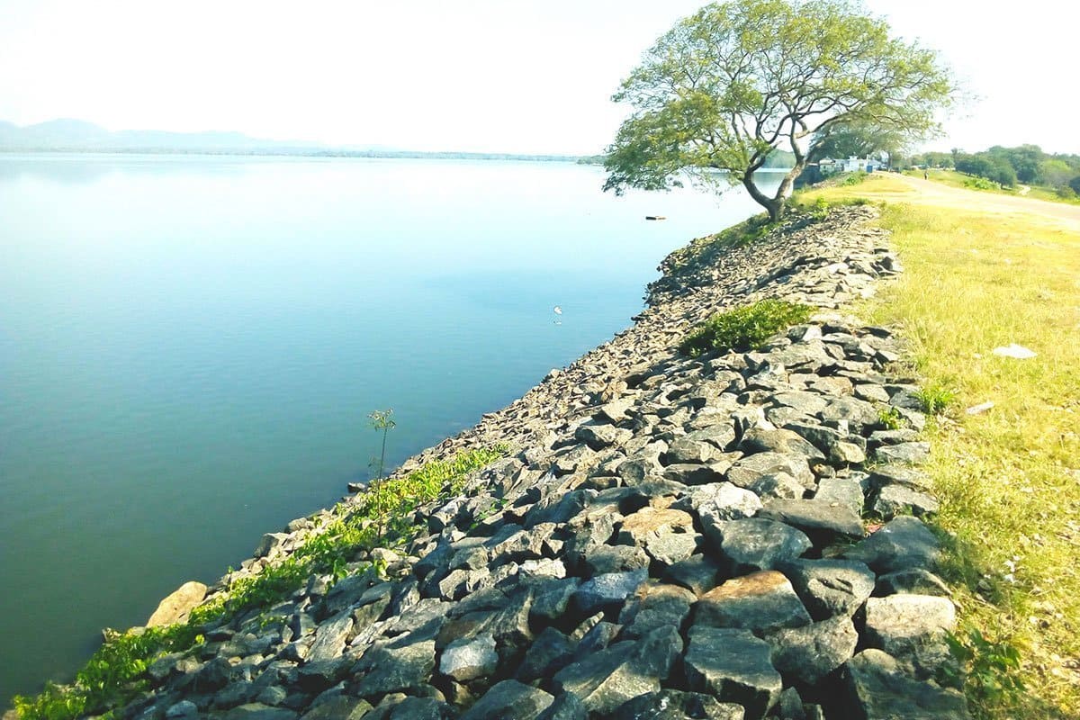 Minneriya Tank
