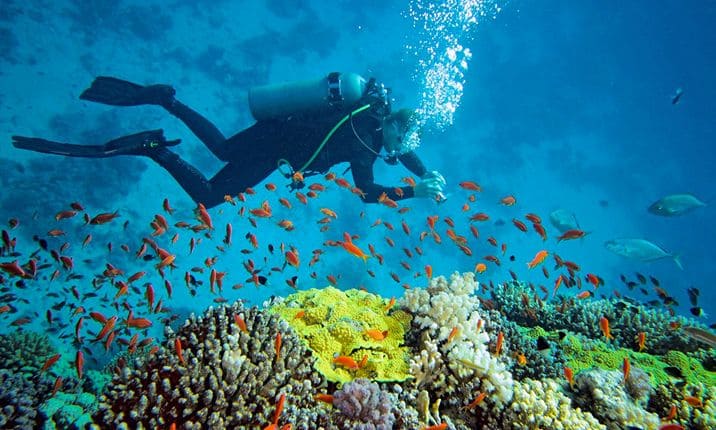 Snorkeling