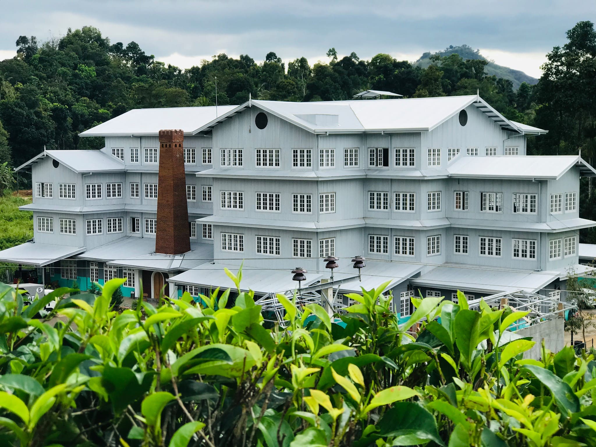 Giragama Tea factory
