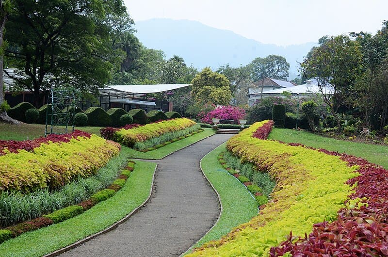 Royal Botanic Gardens