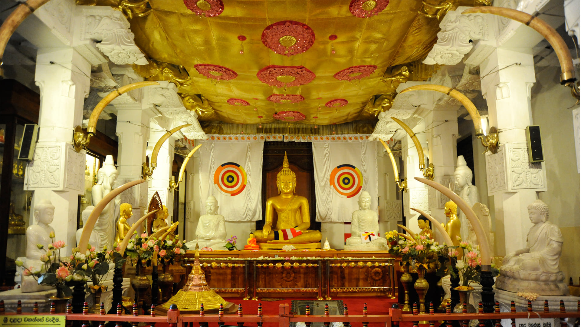 Tooth Relic 