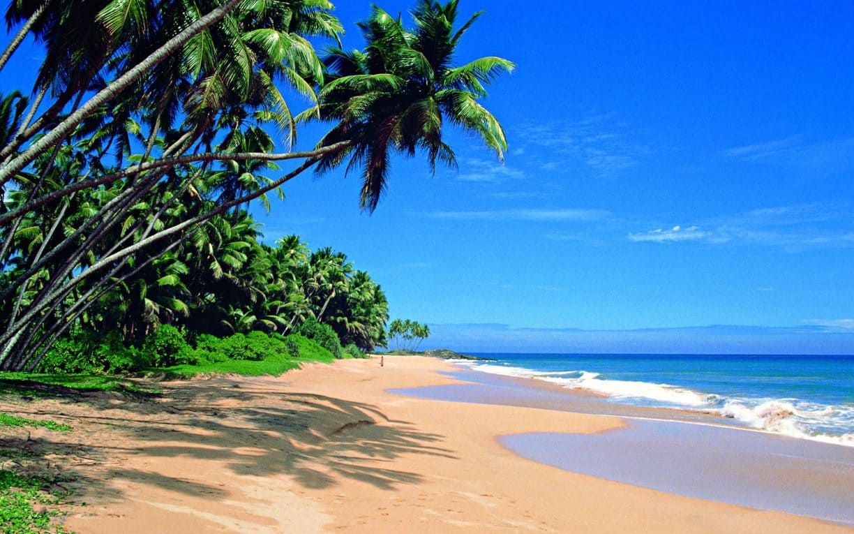 Wadduwa Beach