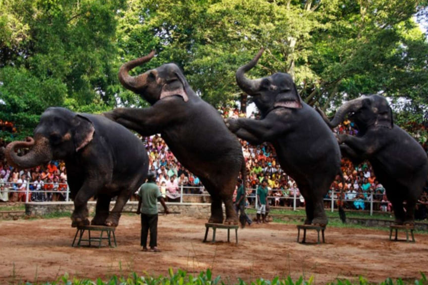 Dehiwala Zoo