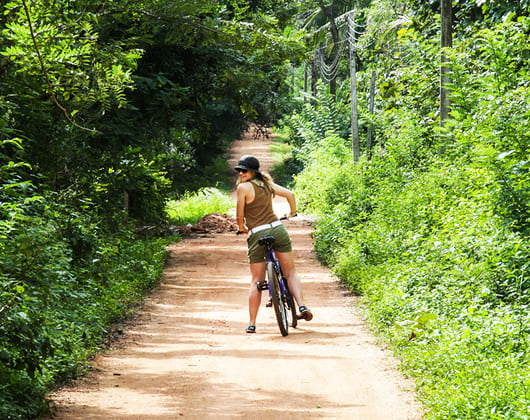 Bike Tour