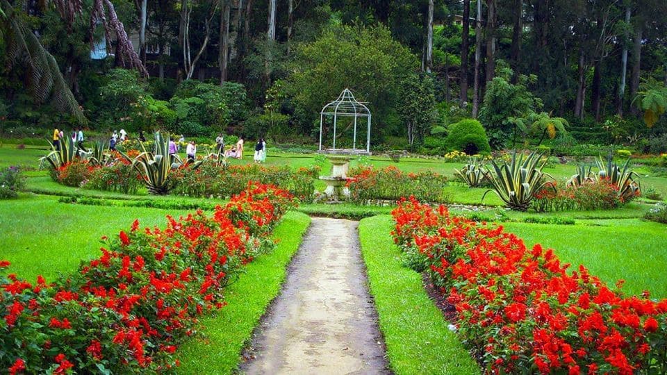 Royal Botonical Gardens 