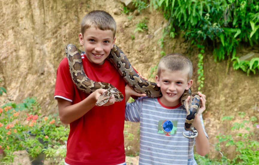 Python