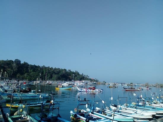 Mirissa Harbour 