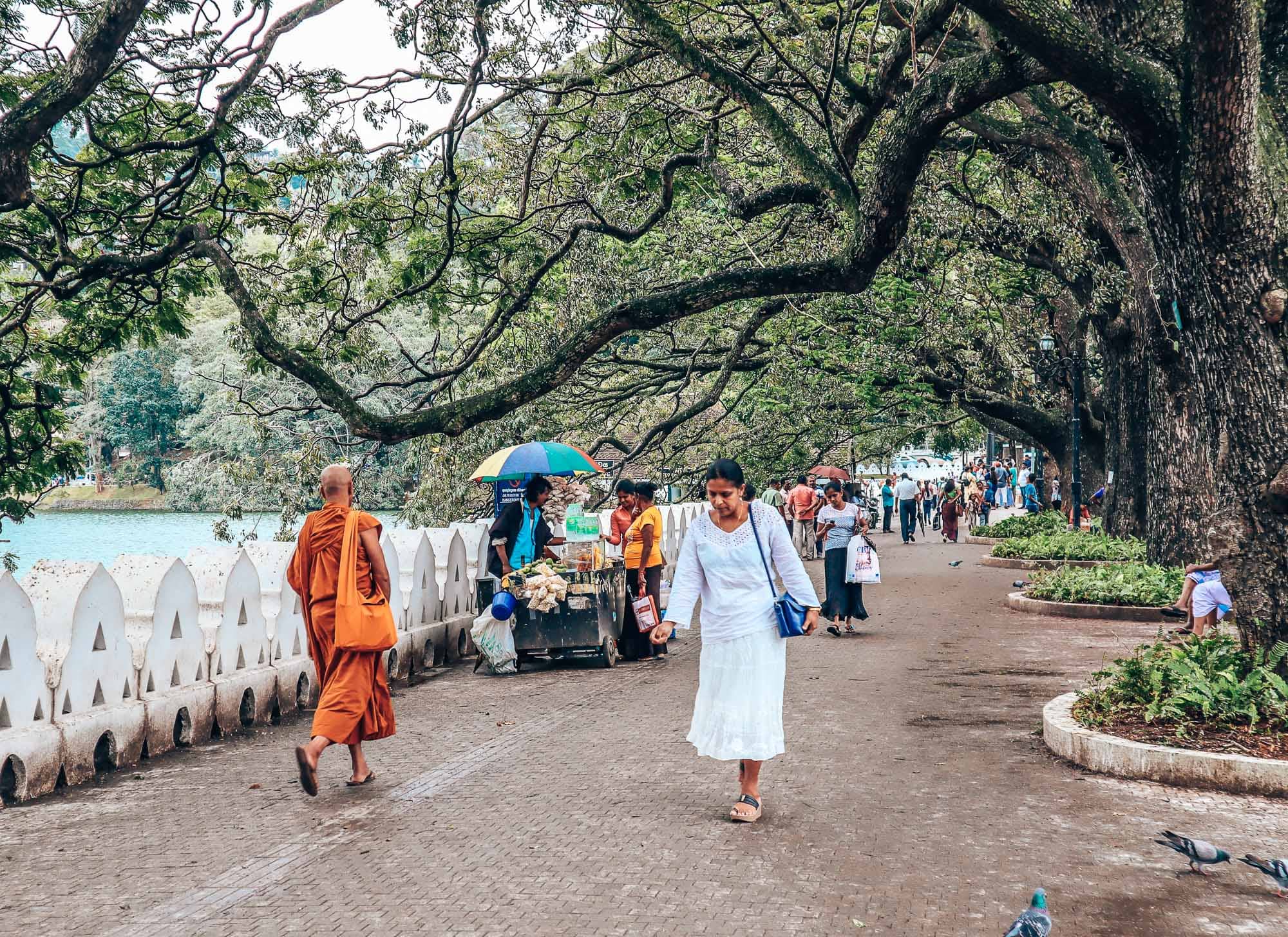 Kandy Lake 