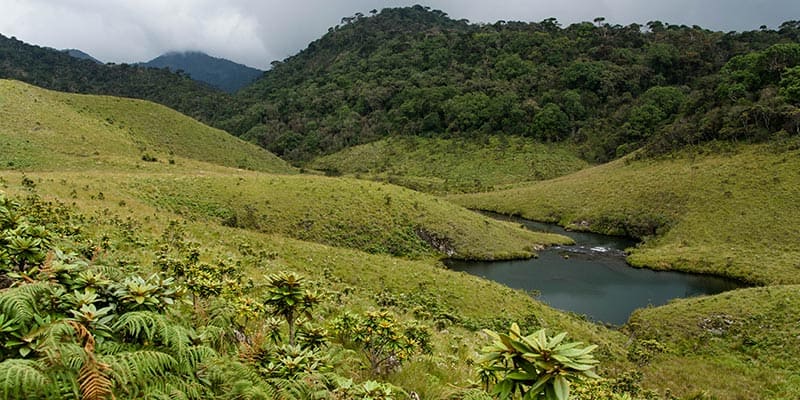 Horton Plains National Park