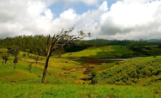 Horton Plains National Park