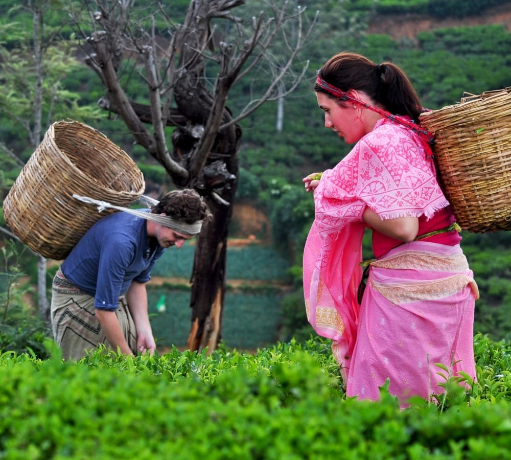 Heritance Tea Factory