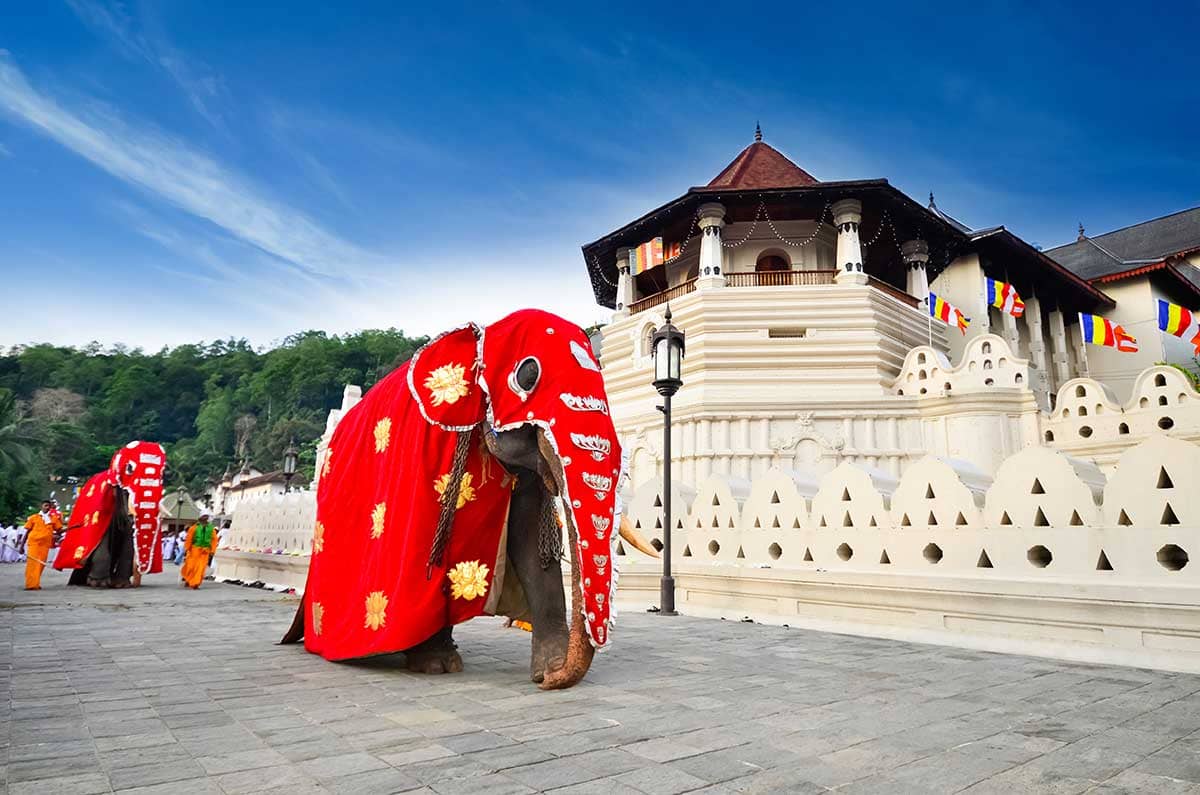 The Temple of the Sacred Tooth Relic 