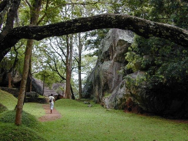 Boulder Gardens