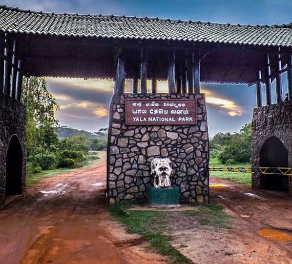 Yala National Park