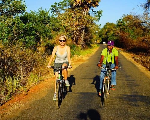 Bike Tour
