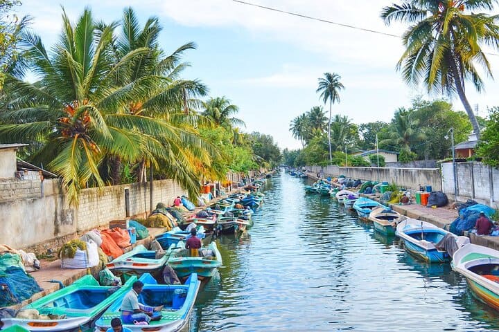 Peaceful Canals