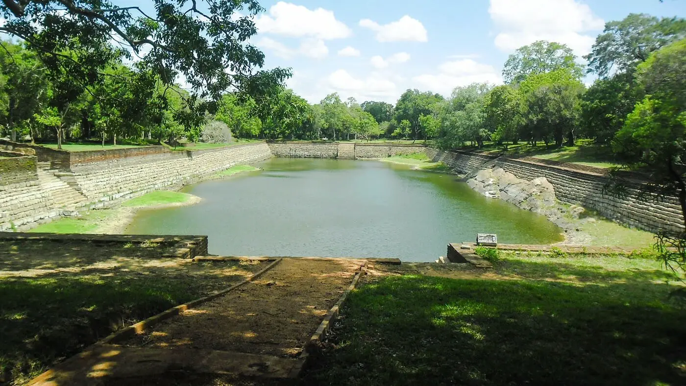 Elephant Pond