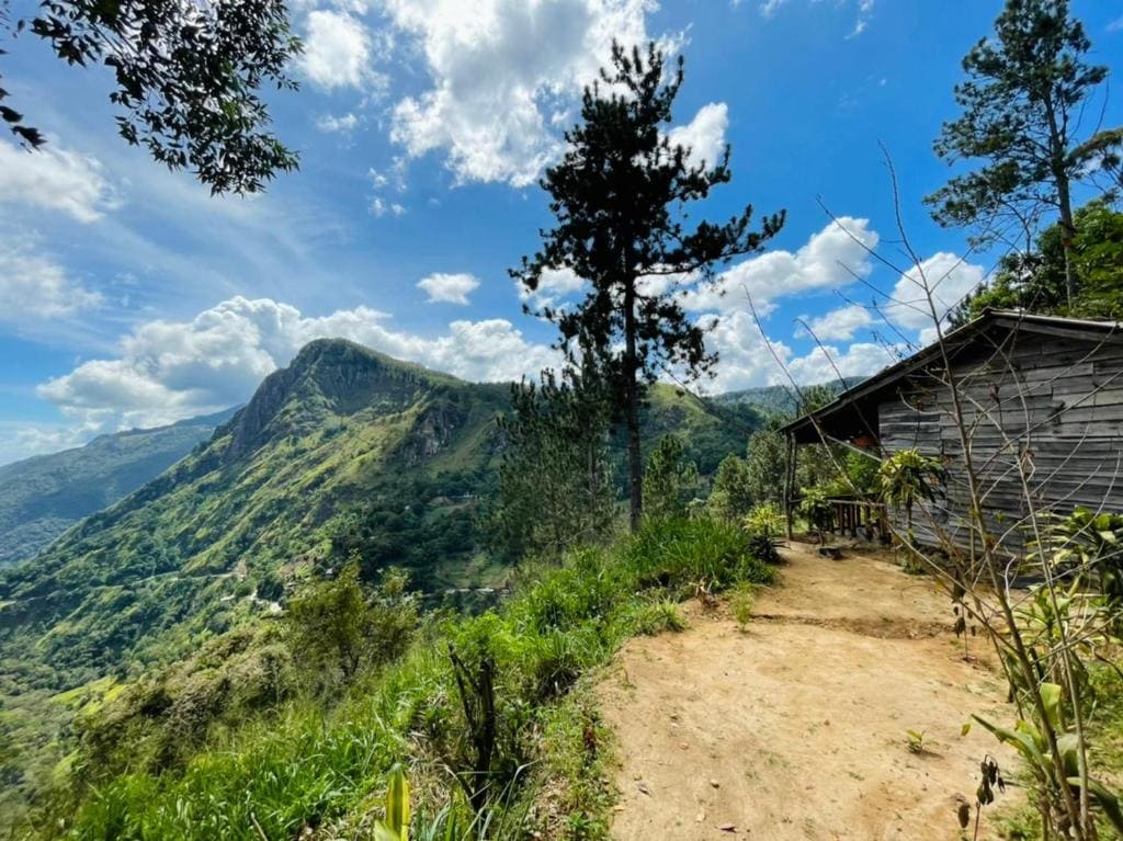 Ella Valley 